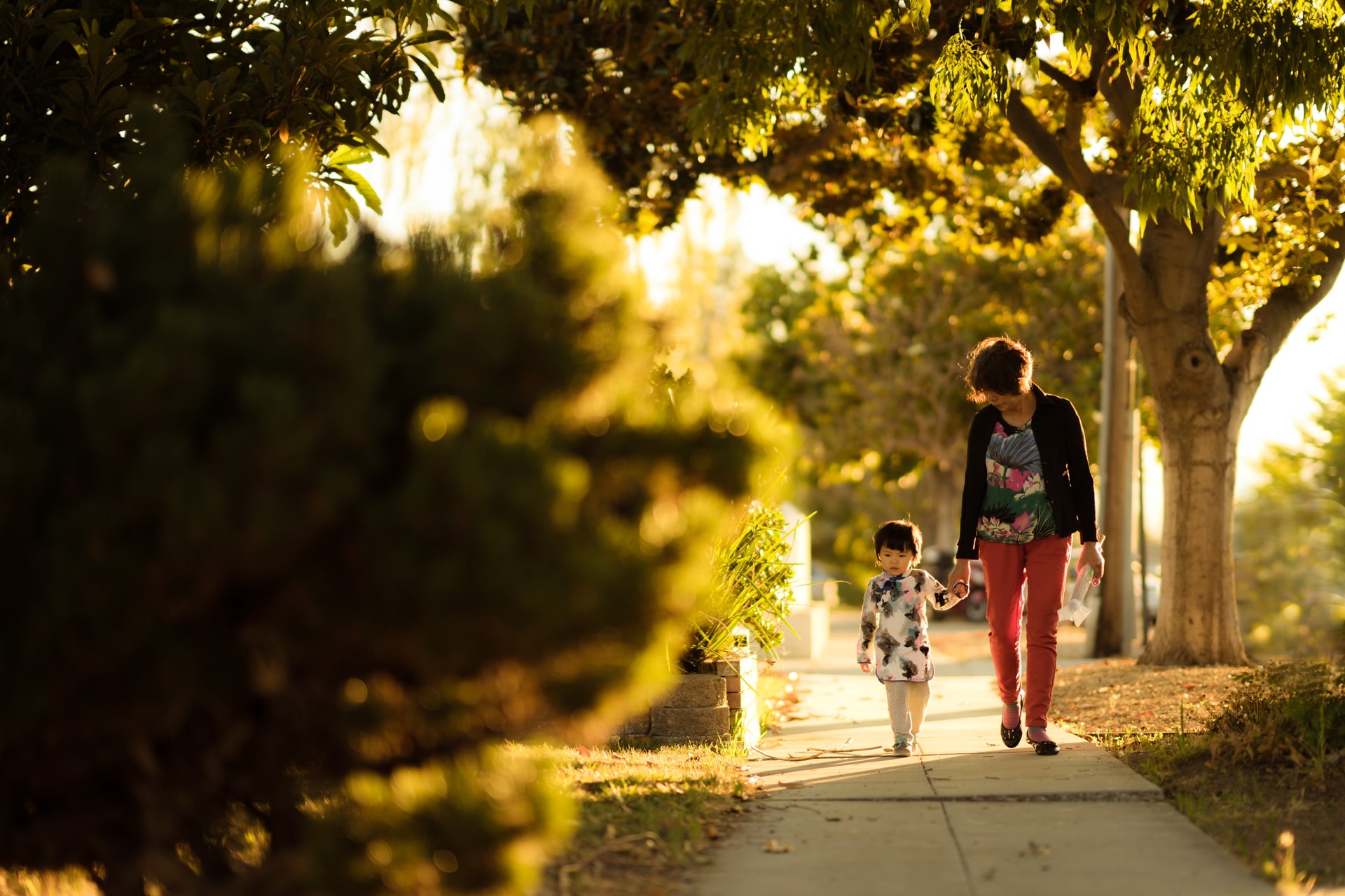 parent and child walking together on sidewalk surrounded by trees